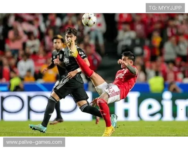 本菲卡定位球得分率持续提升 深度对比预测进一步增强利好方向